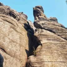 strmen-zrucanina-hradu-teplicke-skaly