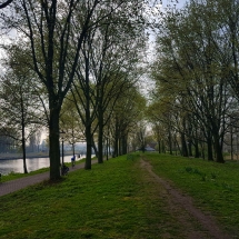 park-v-amsterdame