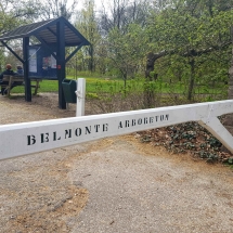 wageningen-arboretum-belmonte