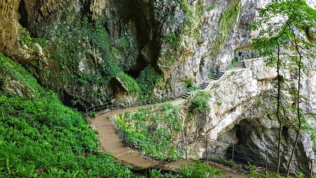 zaujimave-rastlinstvo-v-okoli-jaskyne